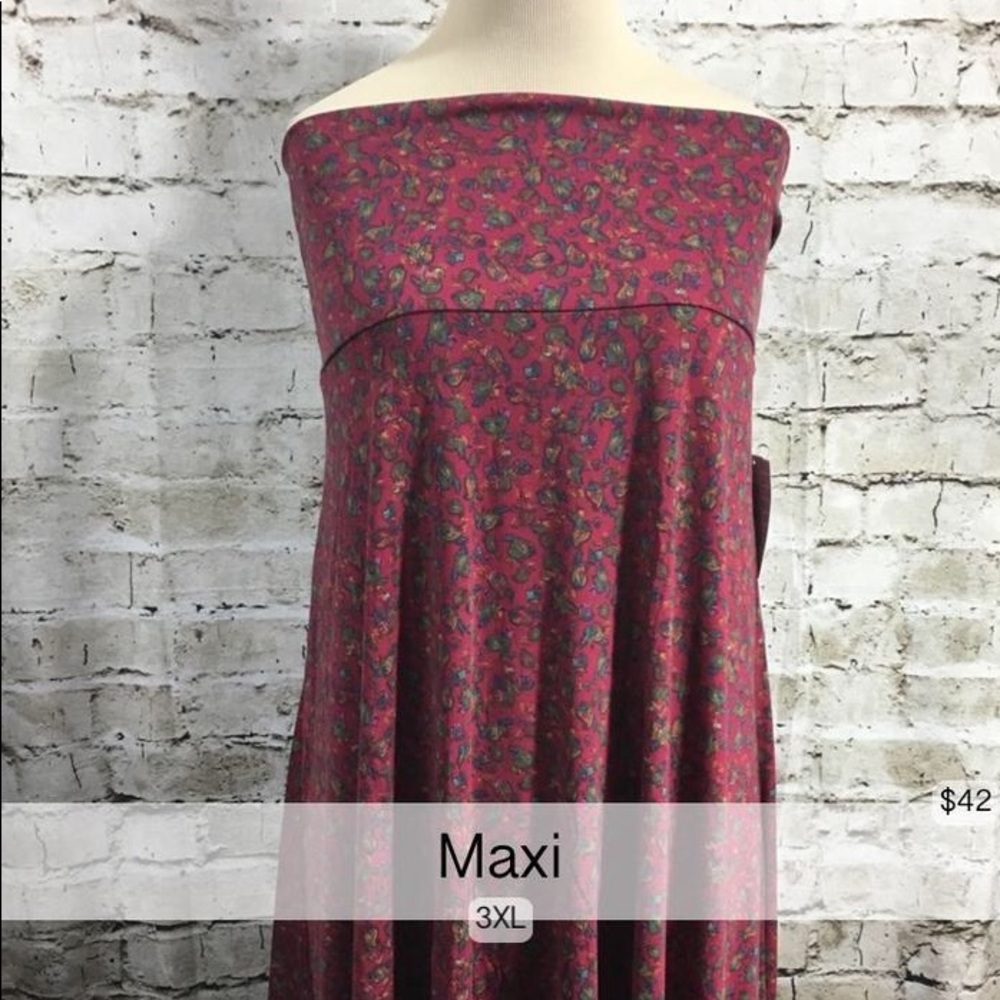 Maxi skirt new with tags